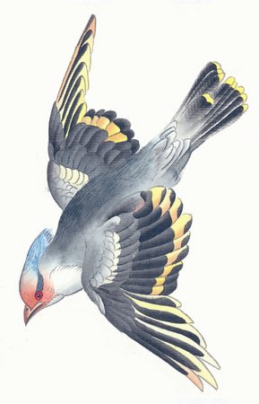 Illustration and Paintingの写真素材