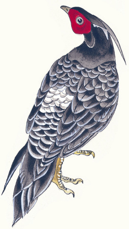 Illustration and Paintingの写真素材