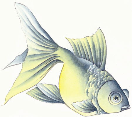 Illustration and Paintingの写真素材