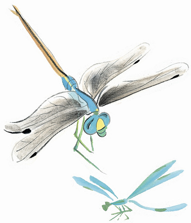 Illustration and Painting