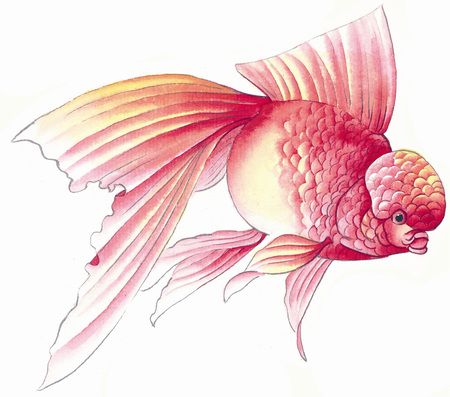 Illustration and Paintingの写真素材