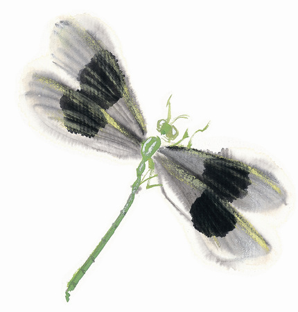 Illustration and Paintingの写真素材