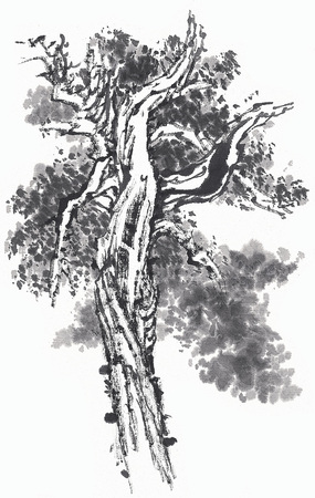 Illustration and Paintingの写真素材