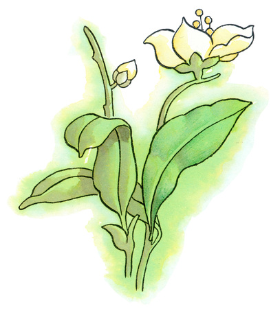 Illustration and Paintingの写真素材