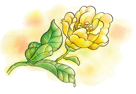 Illustration and Paintingの写真素材