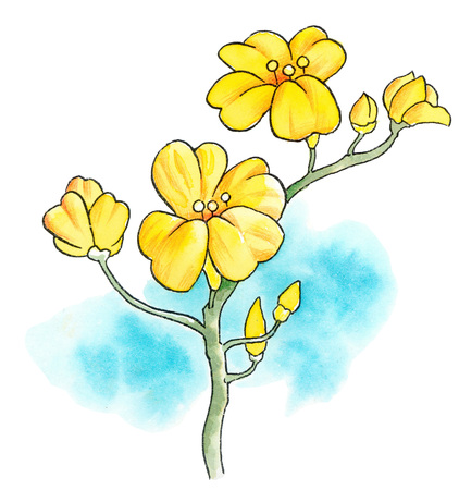 Illustration and Paintingの写真素材