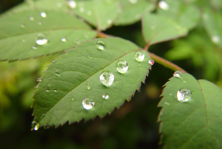 Natureの写真素材