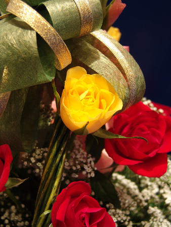 Flowerの写真素材