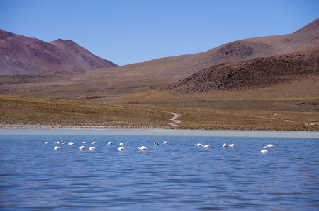 Scenicsの写真素材