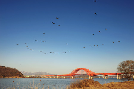 Scenicsの写真素材
