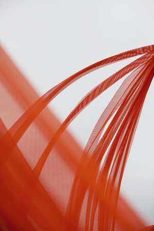 Dotted Lineの写真素材