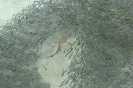 Seaの写真素材