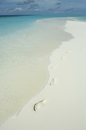 Seaの写真素材