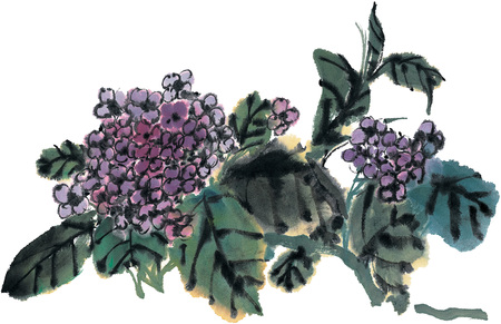 Illustration and Paintingの写真素材