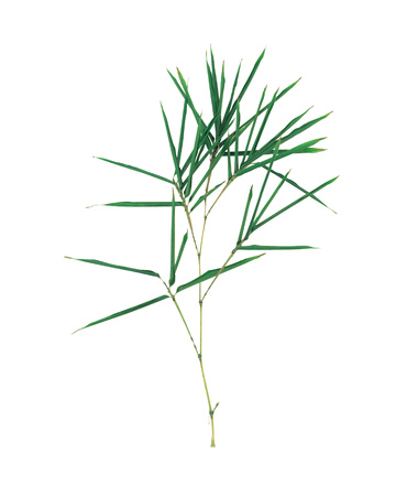 Natureの写真素材