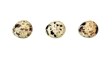 Quail Eggの写真素材