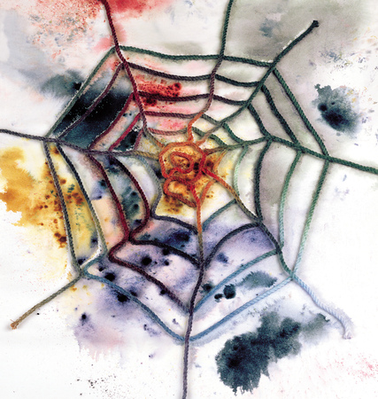 Spider Web Threadの写真素材