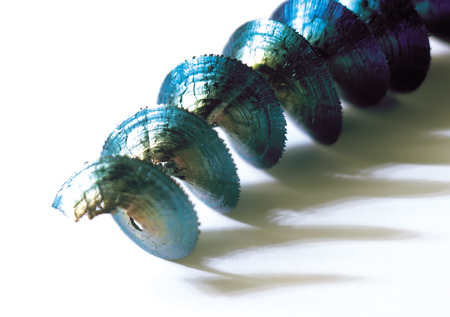 Metalの写真素材