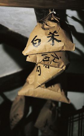 Medical Examの写真素材