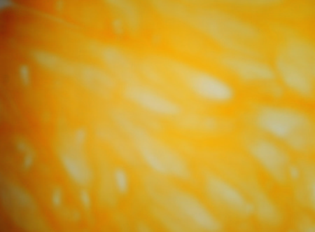 Backgroundの写真素材