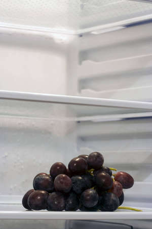 A bunch of grape inside fridge, sitting alone on the shelf. Copyspace provided.