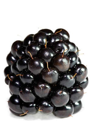 Closeup of single blackberry isolated on white background.の写真素材