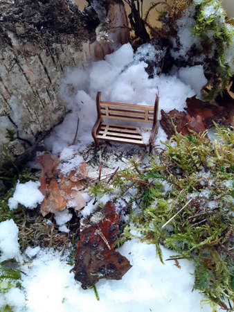 kuva mockup among forest thickets, moss, bark, bushes, there is a bench in the snowの写真素材