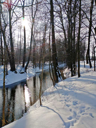 a river flows among the snow-covered trees, the sun and trees reflecting on the surface of the water, a winter imageの写真素材
