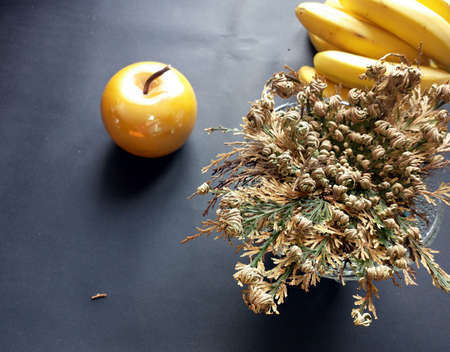 next to the Rose of Jericho, yellow bananas and a yellow apple on the table