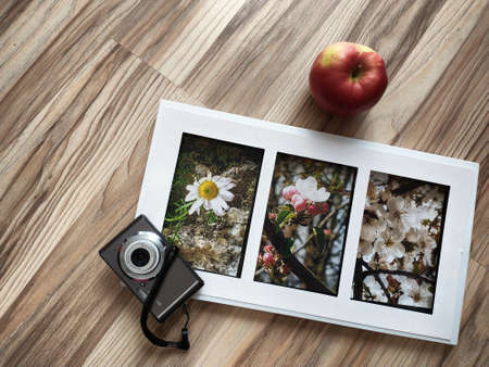 camera and pictures of flowersの写真素材