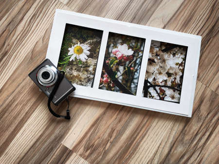 photographs of flowers in frames