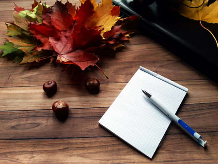 on the wooden table top there are colorful autumn leaves next to a laptop and a cup of tea
white notebookの写真素材