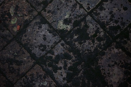 Old brick texture with dirt spots