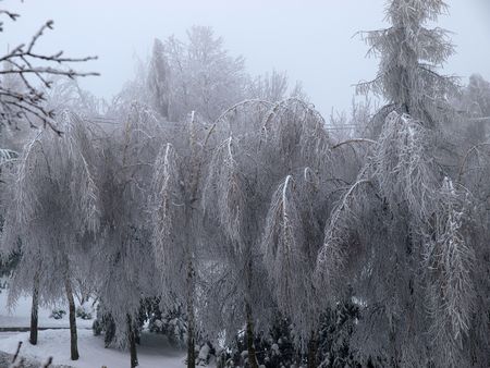 winter landscape        の写真素材