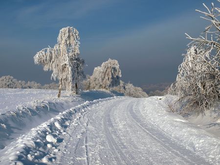 winter landscape        の写真素材