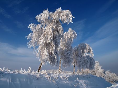  winter landscape    の写真素材