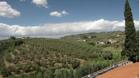 Vineyards and olive fields in Chianti, Tuscanyの写真素材