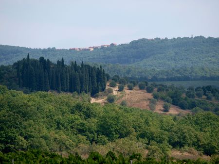 Vineyards and rolling hills in the Chianti countryside の写真素材