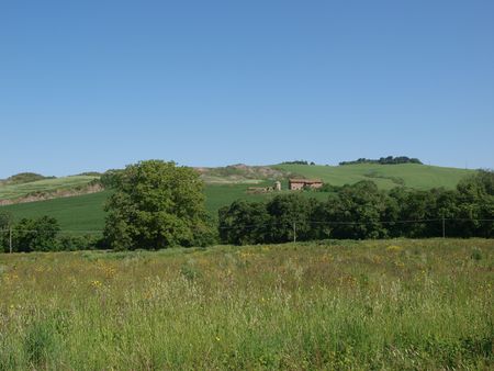 The landscape of the Val dOrcia. Tuscany. Italiyの写真素材