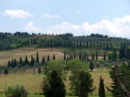 The hills surrounding Abbey of Sant'Antimo の写真素材
