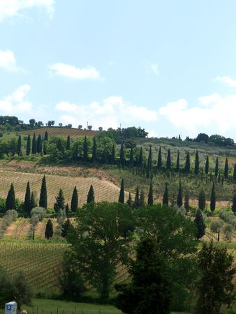 The hills surrounding Abbey of Sant'Antimo の写真素材