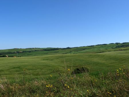 The landscape of the Val dOrcia. Tuscany. Italiyの写真素材