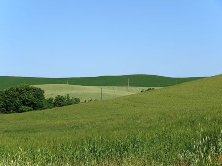 The landscape of the Val dOrcia. Tuscany. Italiyの写真素材