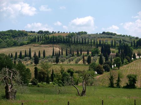 The hills surrounding Abbey of Sant'Antimoの写真素材