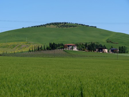 Villa in Tuscany amongst   fields and olive grovesの写真素材