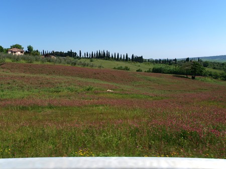 The landscape of the Val dOrcia. Tuscany. Italiyの写真素材