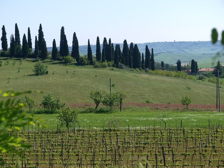 The landscape of the Tuscany. Italiyの写真素材