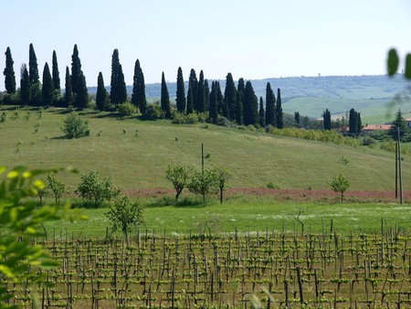 The landscape of the Tuscany. Italiyの写真素材