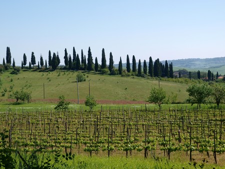 The landscape of the Tuscany. Italiyの写真素材