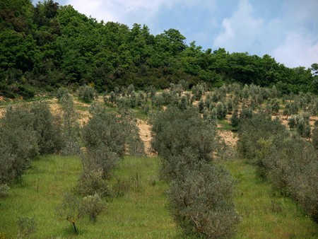 The hills surrounding Abbey of Sant'Antimoの写真素材
